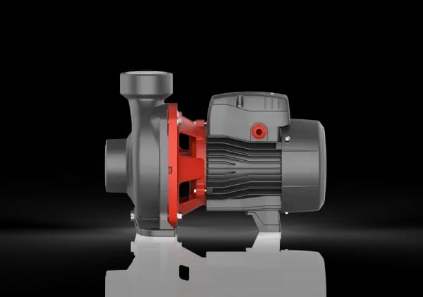 Bomba de agua centrífuga 2 HP LEO ACm150B2 — imagen 2 de 4