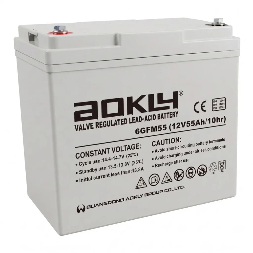 Batería de GEL 55Ah 12V Aokly
