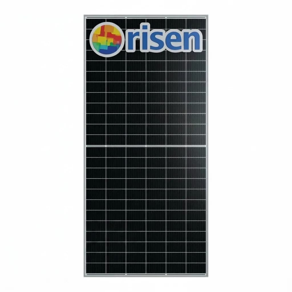 Panel Solar bifacial 610 watts TOPCon Risen